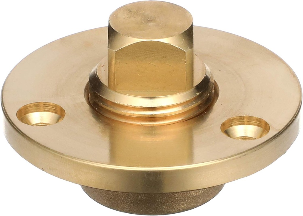 Gargboard Drain Plug