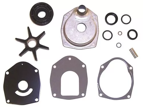 P WATER PUMP KIT 710-817275Q