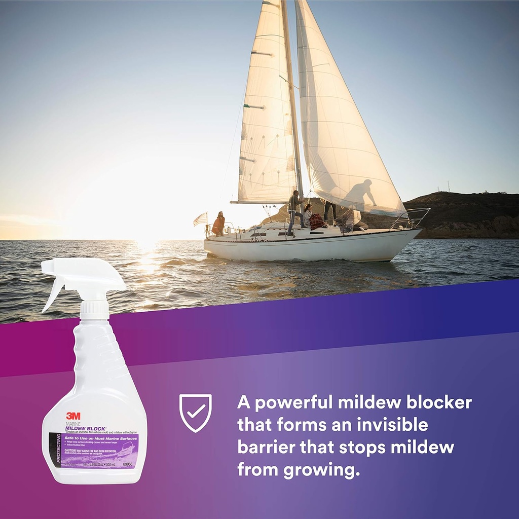 3M Mildew Block