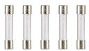 FUSE AGC 10 AMP x5