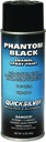  Quicksilver 92-802878Q 1 Paint, Phantom Black Gloss Enamel