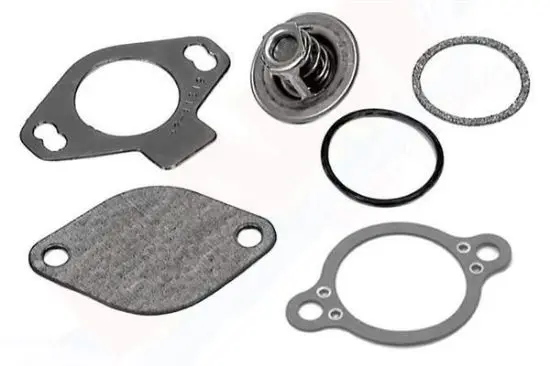 Thermostat  Kit 807252Q 4 