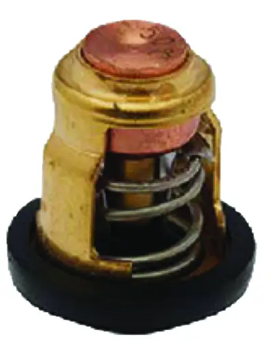 Quicksilver 8M6010294 Thermostat