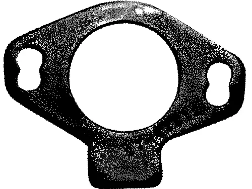 Thermostat Gasket