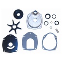 P WATER PUMP KIT 710-817275Q