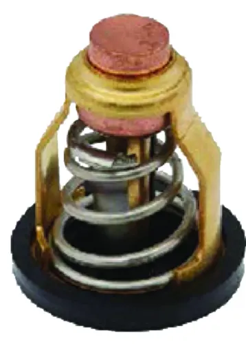 Quicksilver 8M6010296 Thermostat