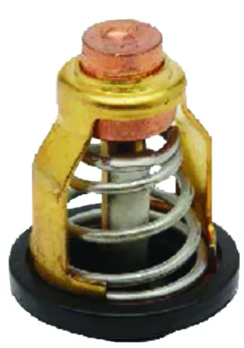  Quicksilver 8M6010295 Thermostat